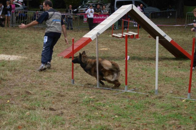 foire-haricots 2011-09-17et18